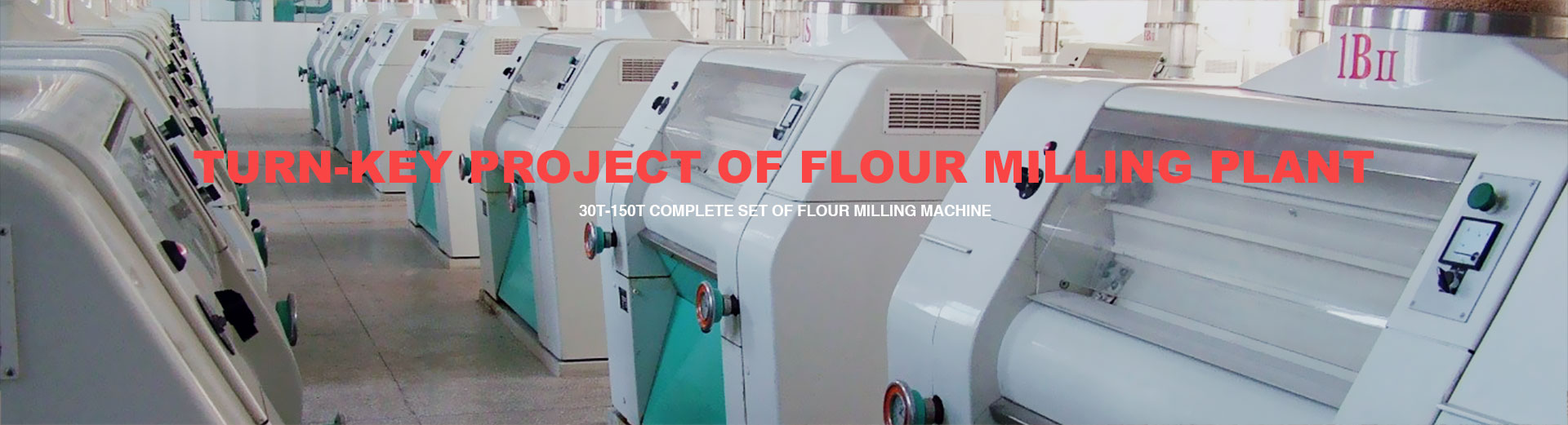 Turn-key project of flor nilling plant