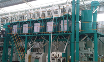 100t corn flour production line