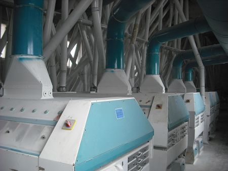 A 250T/D turnkey wheat flour mill plant