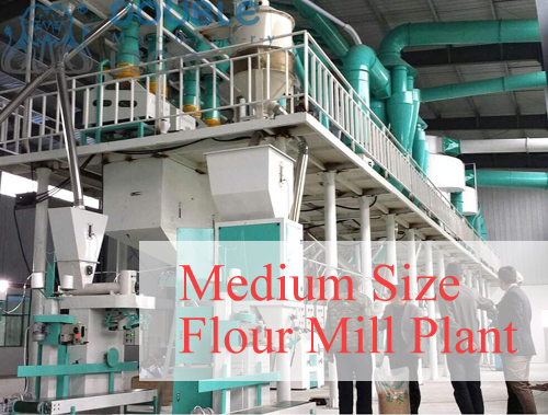 What do small and medium-sized complete flour mill plants develop in the market?