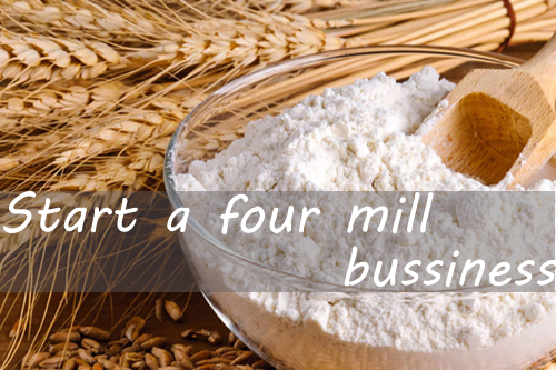 How can we start a small scale flour milling business?
